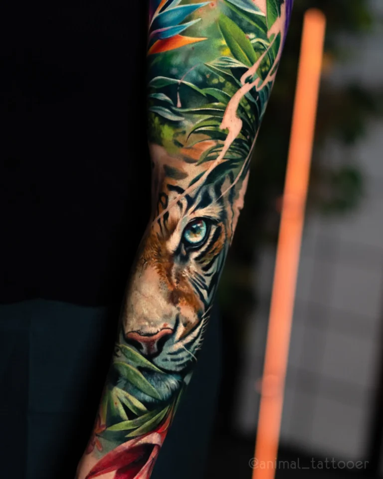 Tiger in jungles