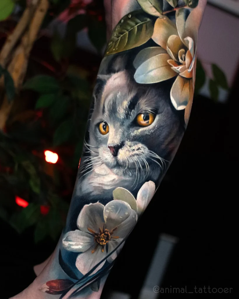 A beloved Russian blue cat