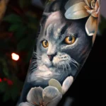 A beloved Russian blue cat