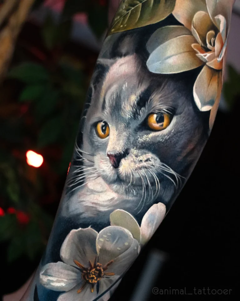 A beloved Russian blue cat