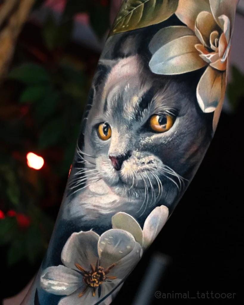 A beloved Russian blue cat