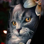 A beloved Russian blue cat