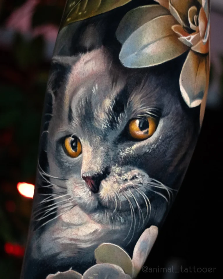A beloved Russian blue cat