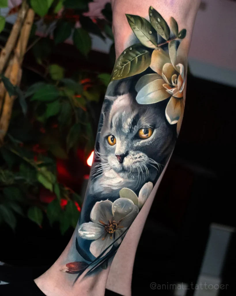 A beloved Russian blue cat