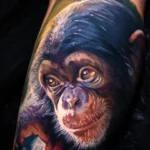 Monkey